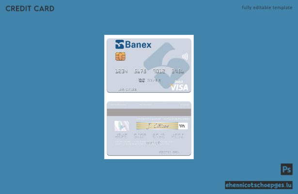 Beispielvorschau der Banco Banex Visa-Debitkarte aus Peru